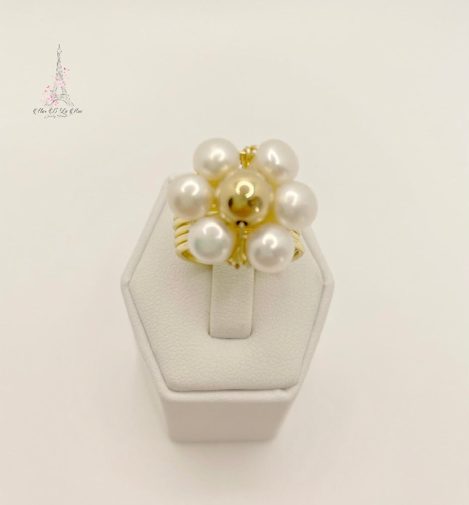 Mont-Blanc Ring