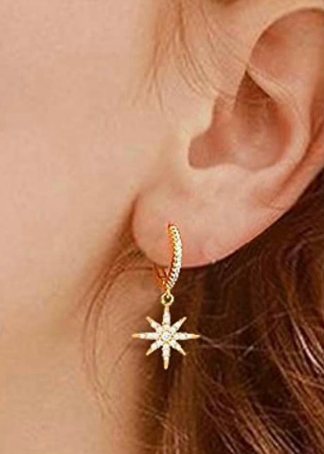 D'Arves Earrings